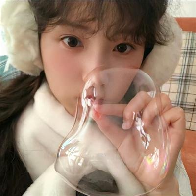 北部丛林